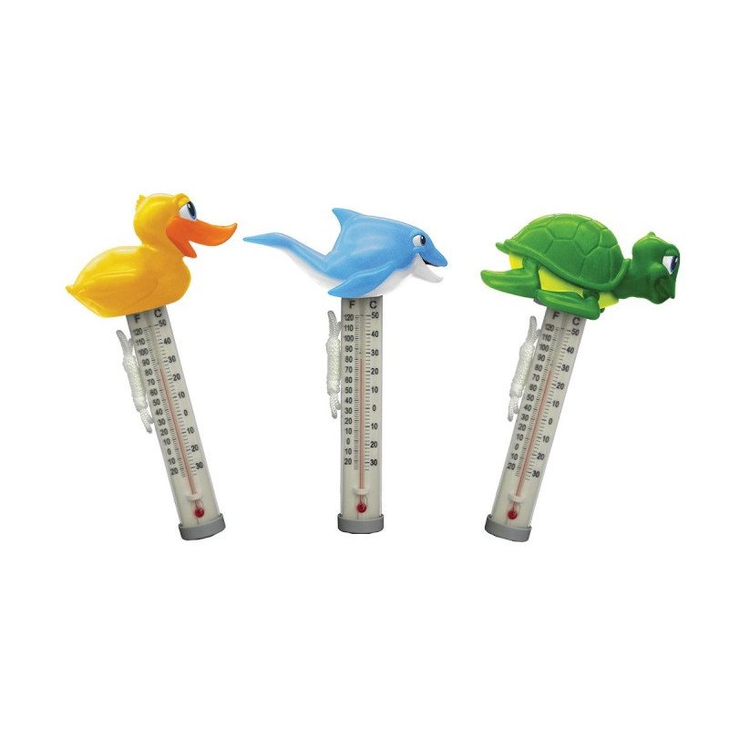Thermomètre piscine
